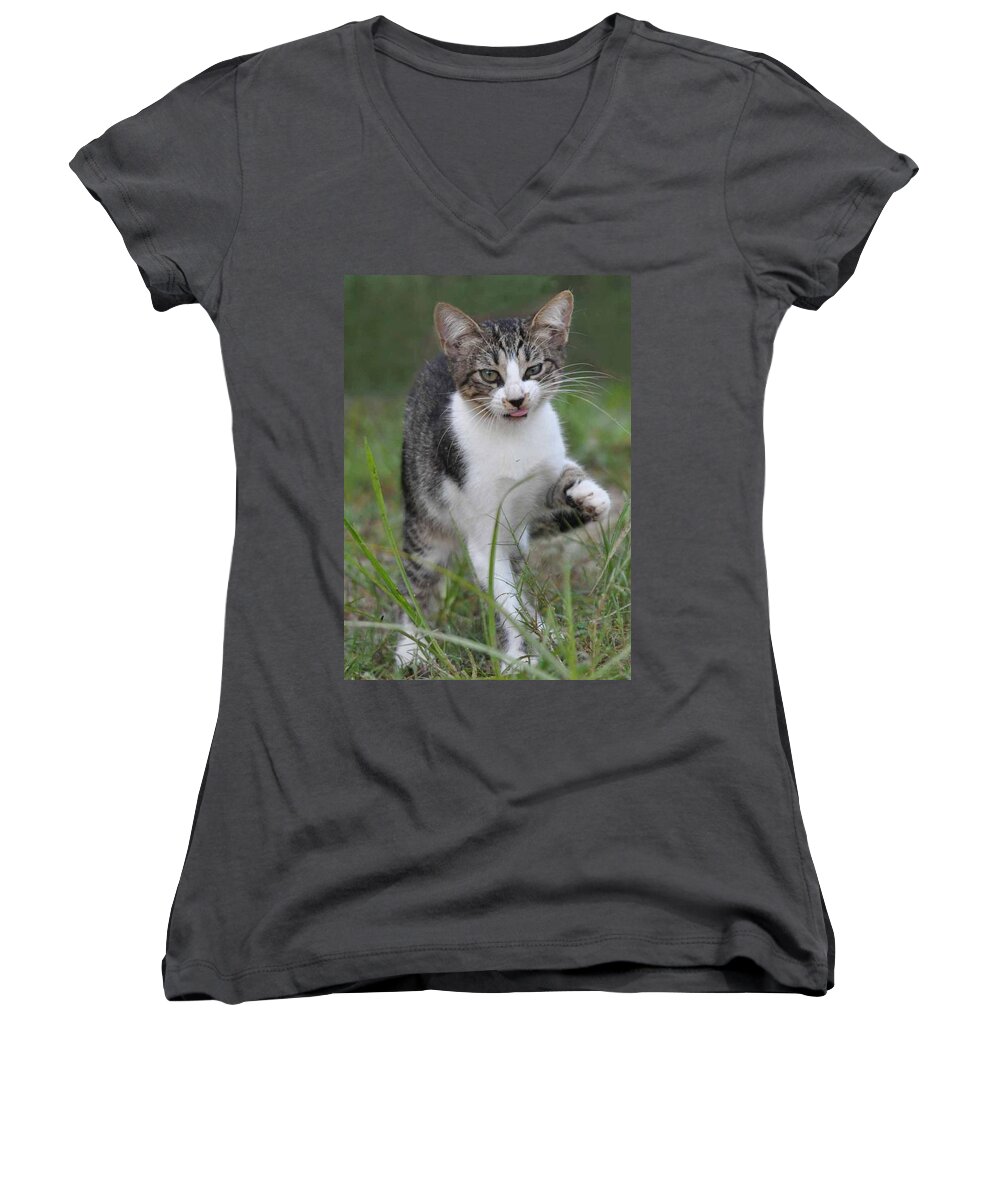 Pet Women's V-Neck featuring the photograph Yuck by Charlotte Schafer