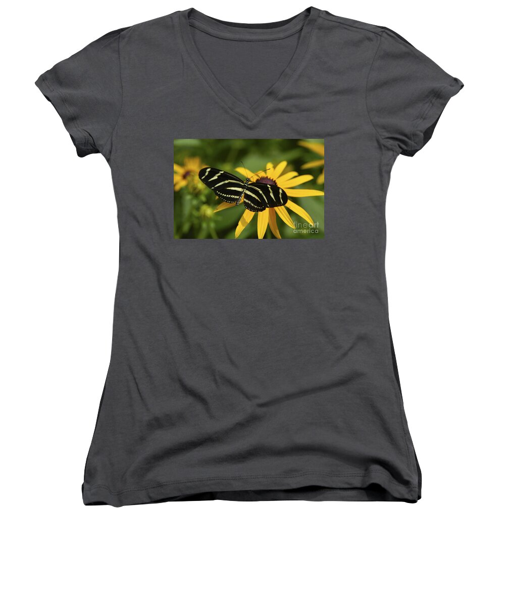 Butterfly Women's V-Neck featuring the photograph Zebra Butterfly by Anthony Sacco