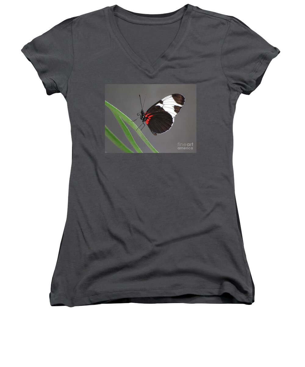 Butterfly Women's V-Neck featuring the photograph Butterfly #1 by Tam Ryan