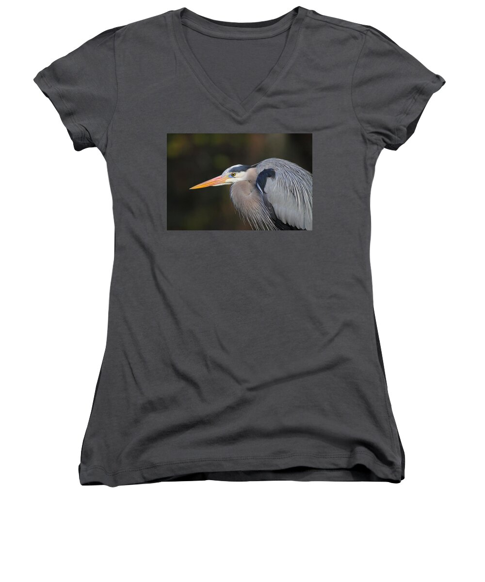 Birds Women's V-Neck featuring the photograph Great Blue Heron #1 by Bruce J Robinson