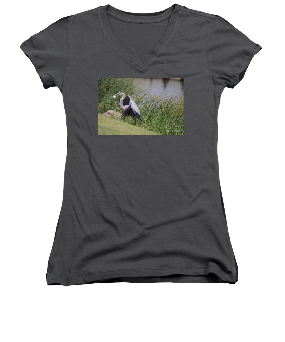 Bird Women's V-Neck featuring the photograph Great Blue Heron #1 by Donna Greene