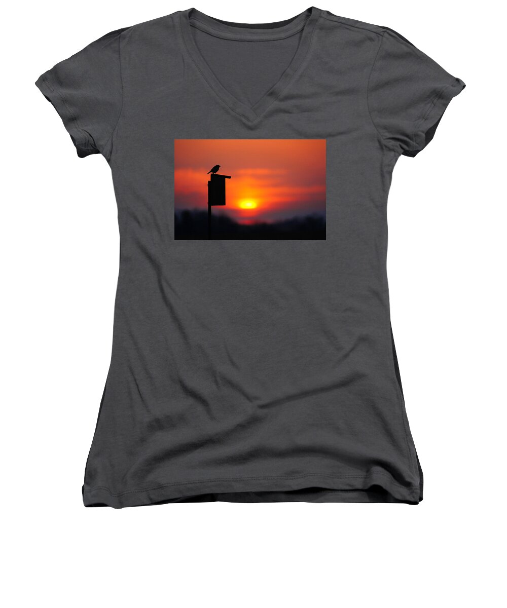 Bird Women's V-Neck featuring the photograph The Early Bird #1 by Bill Pevlor