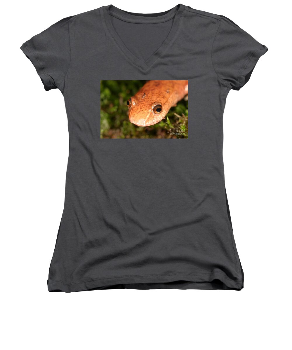 Animal Women's V-Neck featuring the photograph Spring Salamander #2 by Ted Kinsman