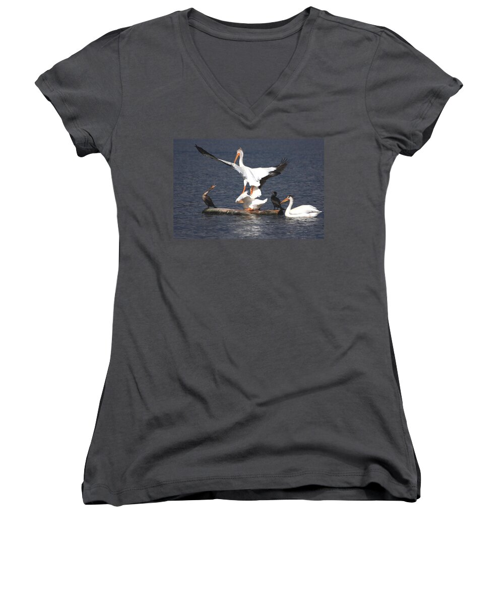 Pelican Women's V-Neck featuring the photograph A Step Ahead by Shane Bechler
