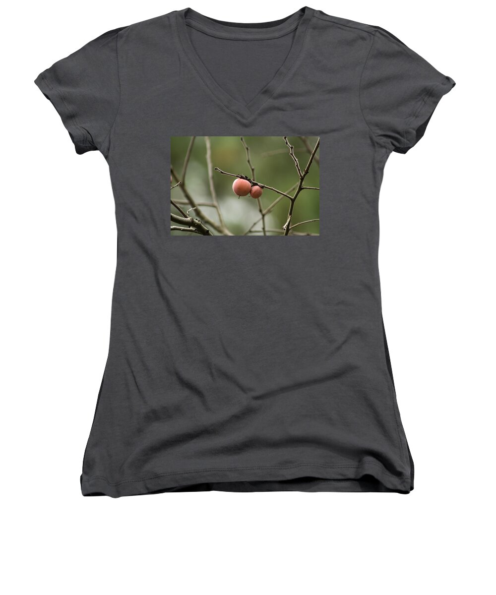 Diospyros Women's V-Neck featuring the photograph Alabama Wild Persimmons by Kathy Clark