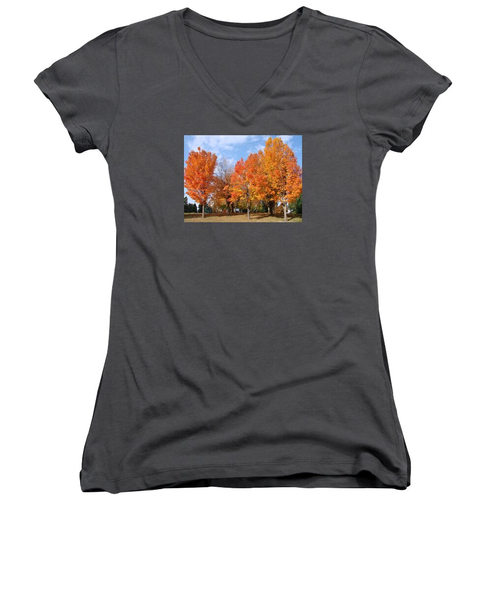 Autumn Women's V-Neck featuring the photograph Autumn Leaves by Athena Mckinzie