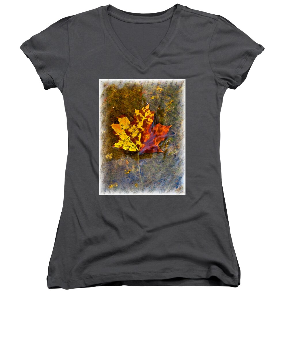 Botanical Women's V-Neck featuring the digital art Autumn Maple Leaf in water by Debbie Portwood
