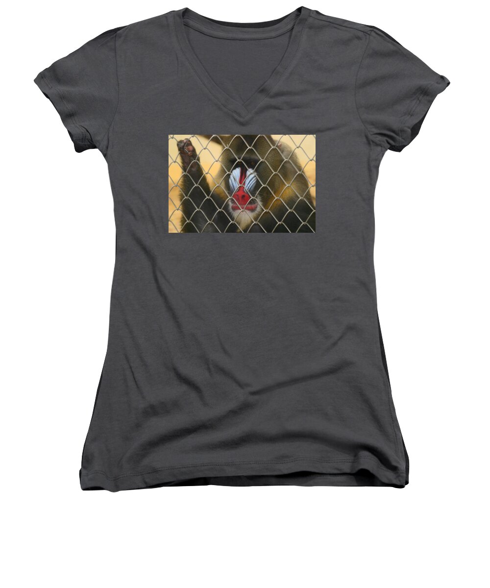 Baboon Women's V-Neck featuring the photograph Baboon Behind Bars by Kym Backland