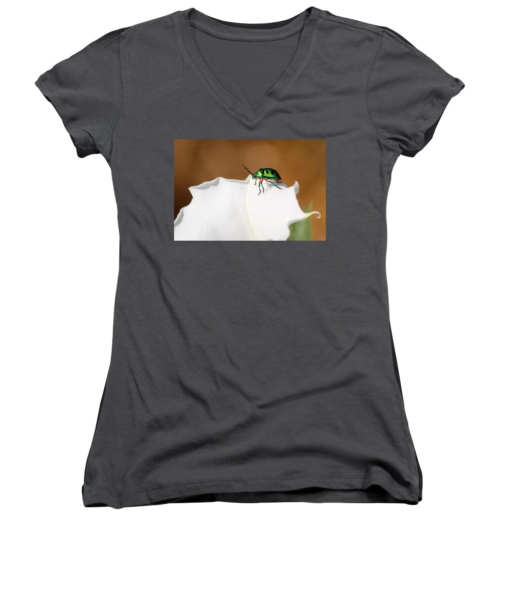 Jewel Bug Women's V-Neck featuring the photograph Bejewelled by SAURAVphoto Online Store