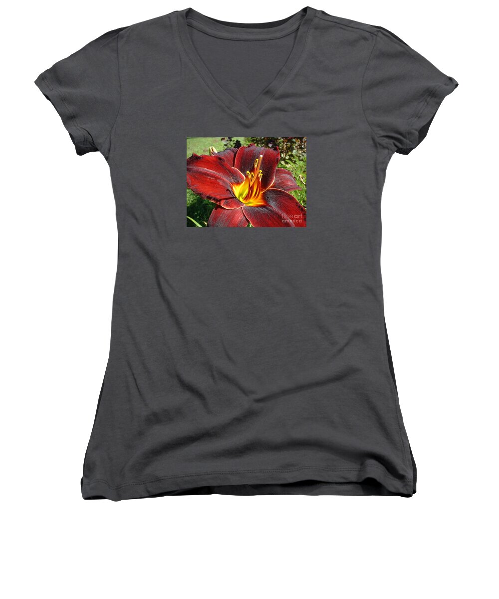 Lilly Women's V-Neck featuring the photograph Bleeding Beauty by Mark Robbins