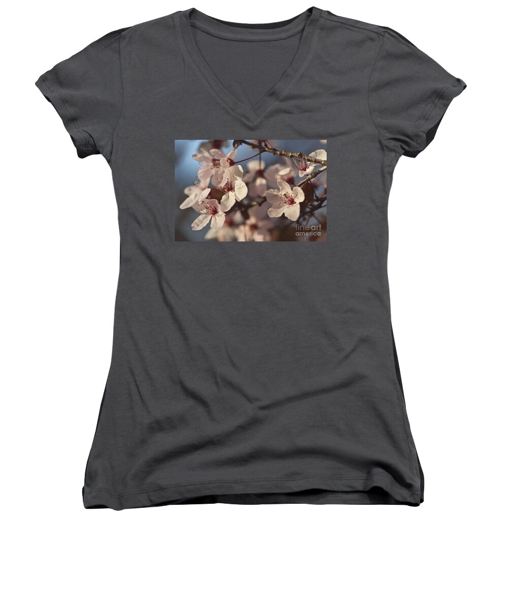 Blossom Women's V-Neck featuring the photograph Blossoms by Jim And Emily Bush