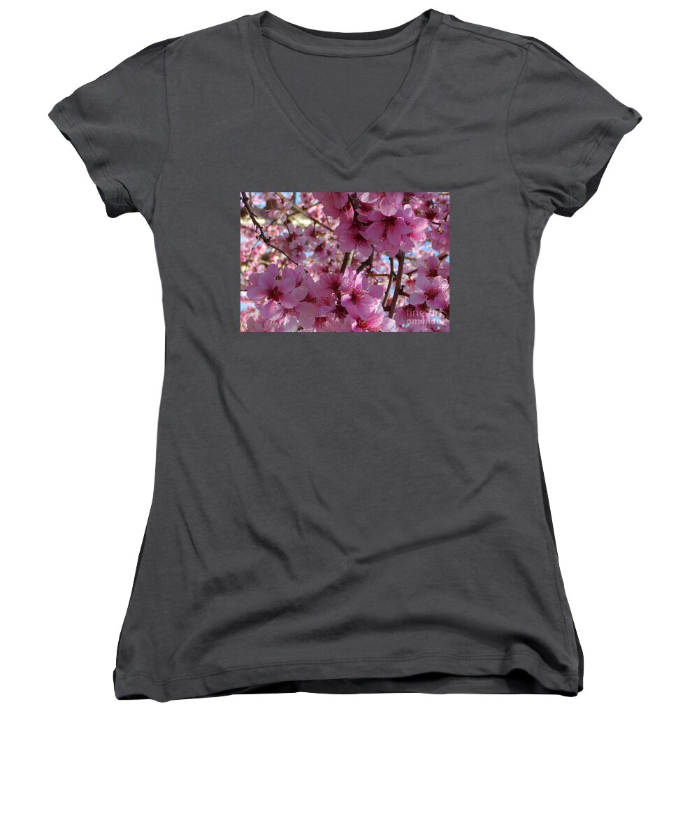 Blossoms Women's V-Neck featuring the photograph Blossoms by Lydia Holly