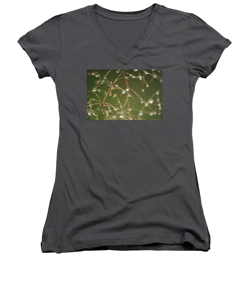 Framed Prints Women's V-Neck featuring the photograph Branches of Dew by Neal Eslinger