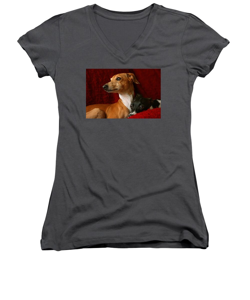 Editorial Women's V-Neck featuring the photograph Brothers Italian Greyhounds by Angela Rath