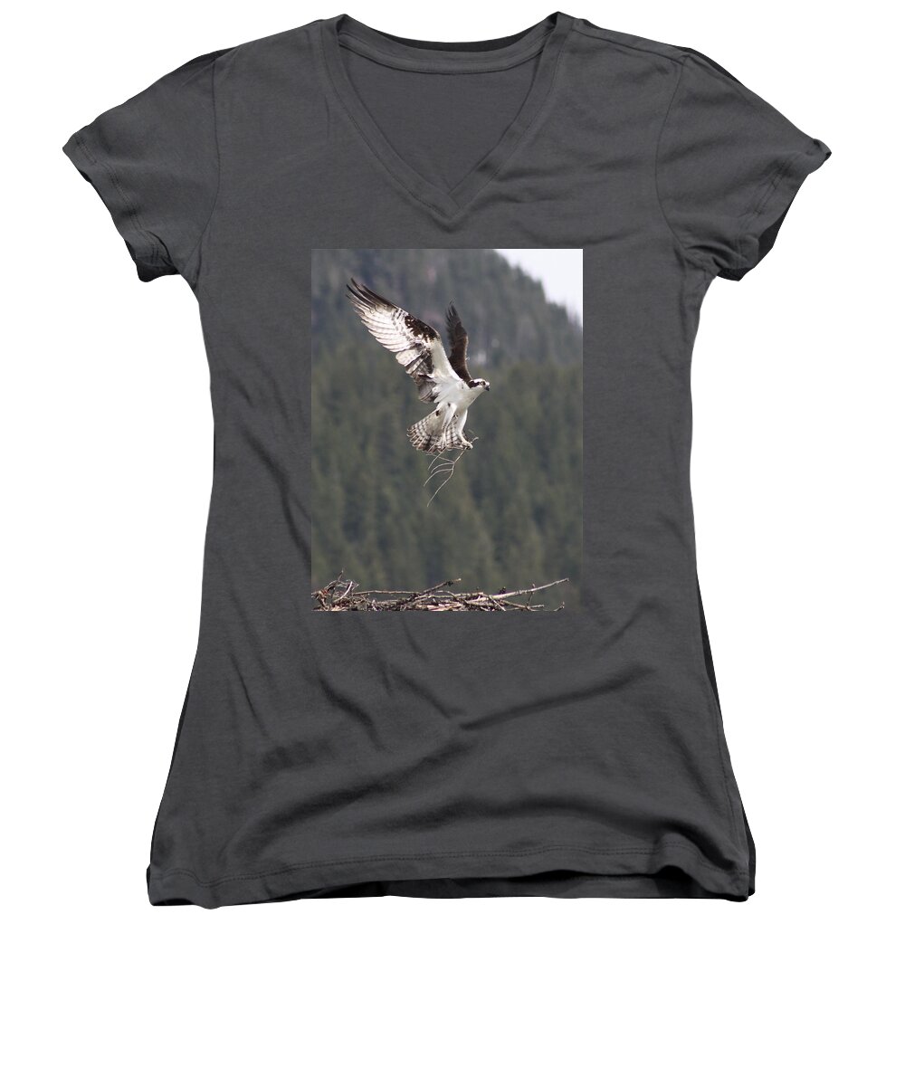 Osprey Women's V-Neck featuring the photograph Building Supplies by Cathie Douglas