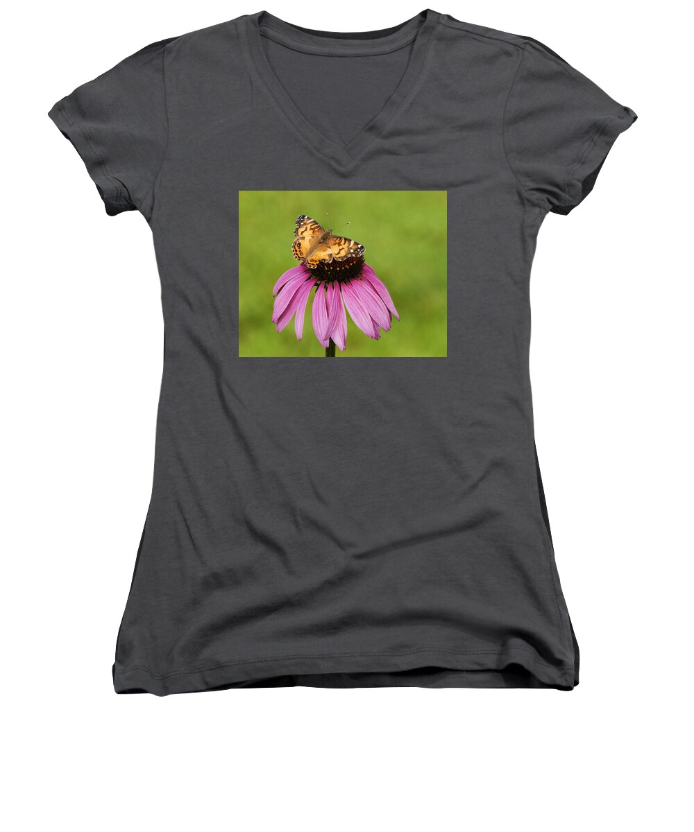 Painted Lady Women's V-Neck featuring the photograph Butterflies and Daisies by Kathy Clark