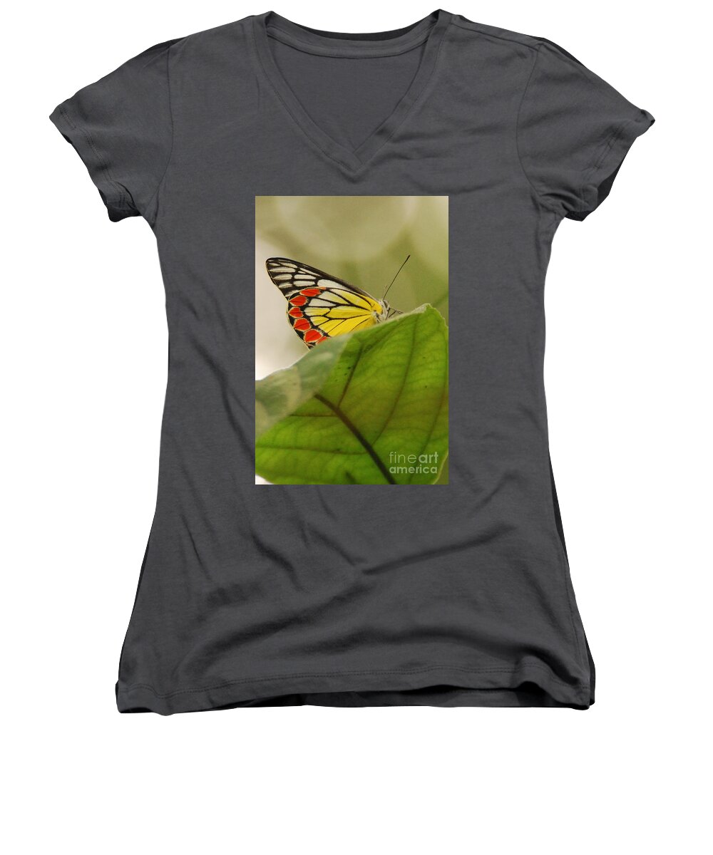 Butterfly Women's V-Neck featuring the photograph Butterfly resting by Fotosas Photography