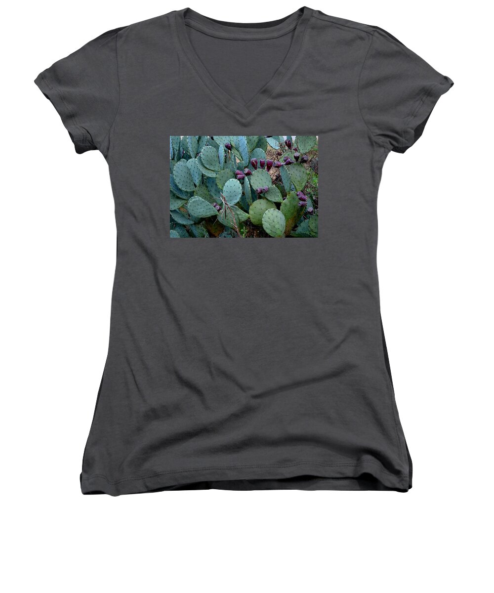 Cactus Women's V-Neck featuring the photograph Cactus Plants by Maria Urso