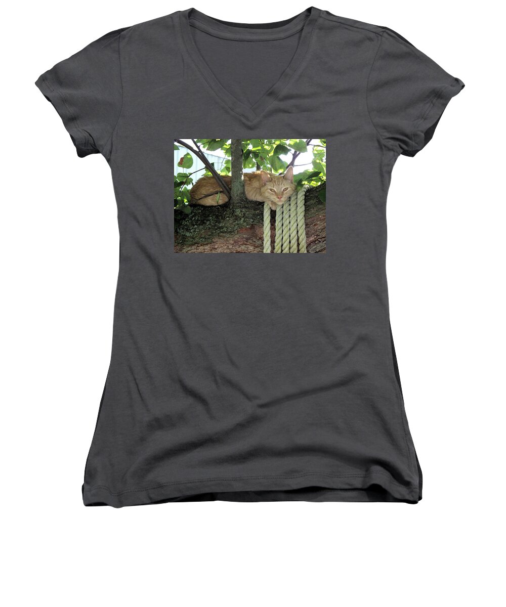 Tree Women's V-Neck featuring the photograph Catnap Time by Thomas Woolworth
