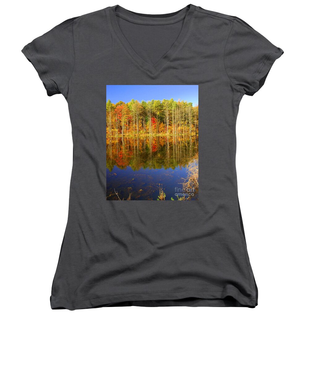 Fall Women's V-Neck featuring the photograph Coxsackie #4 by Mark Gilman