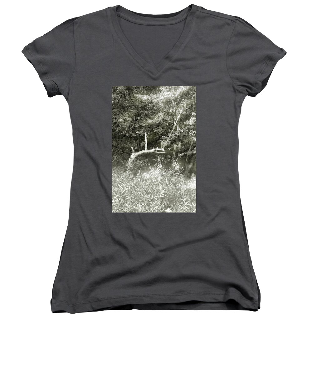 Toned Women's V-Neck featuring the photograph Dragon Bones by Mary Almond