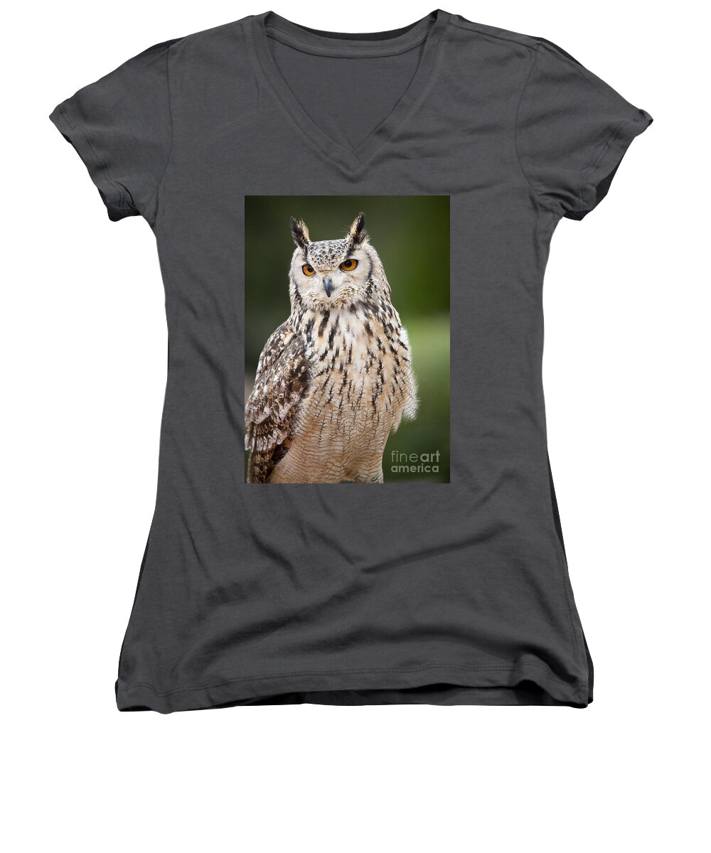 Eagle Women's V-Neck featuring the photograph Eagle Owl I by Chris Dutton