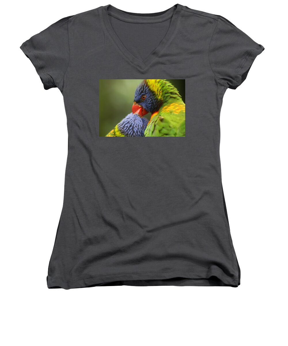 Motivation Women's V-Neck featuring the photograph Family Values by Phil Cappiali Jr