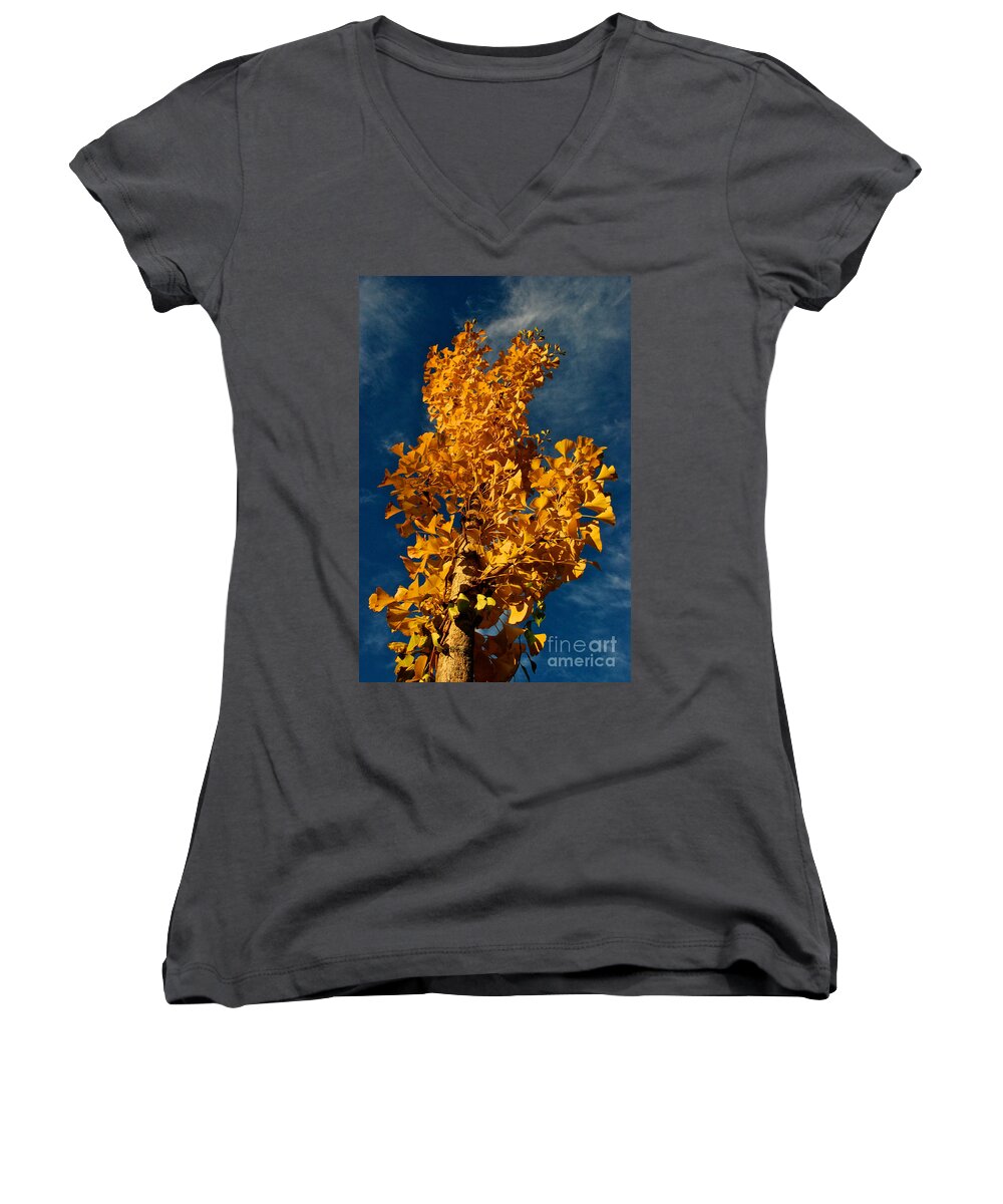 Gingko Women's V-Neck featuring the photograph Gingko to the Sky by Mark Dodd