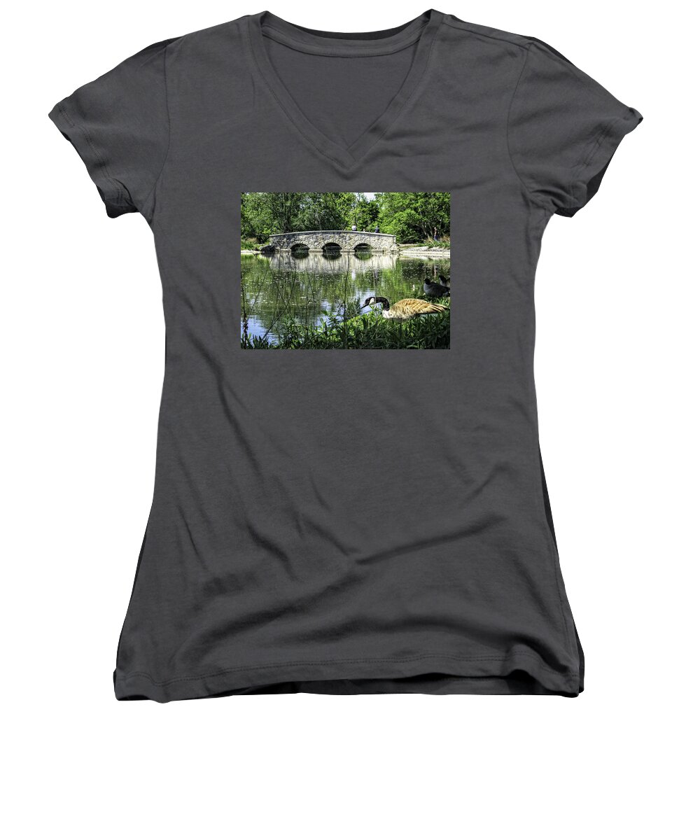 Goose Wildlife Bridge Lake Water Rochester Minnesota Silver Grass Trees Nature Landscape Bird Animal Women's V-Neck featuring the photograph Goose and Bridge at Silver Lake by Tom Gort