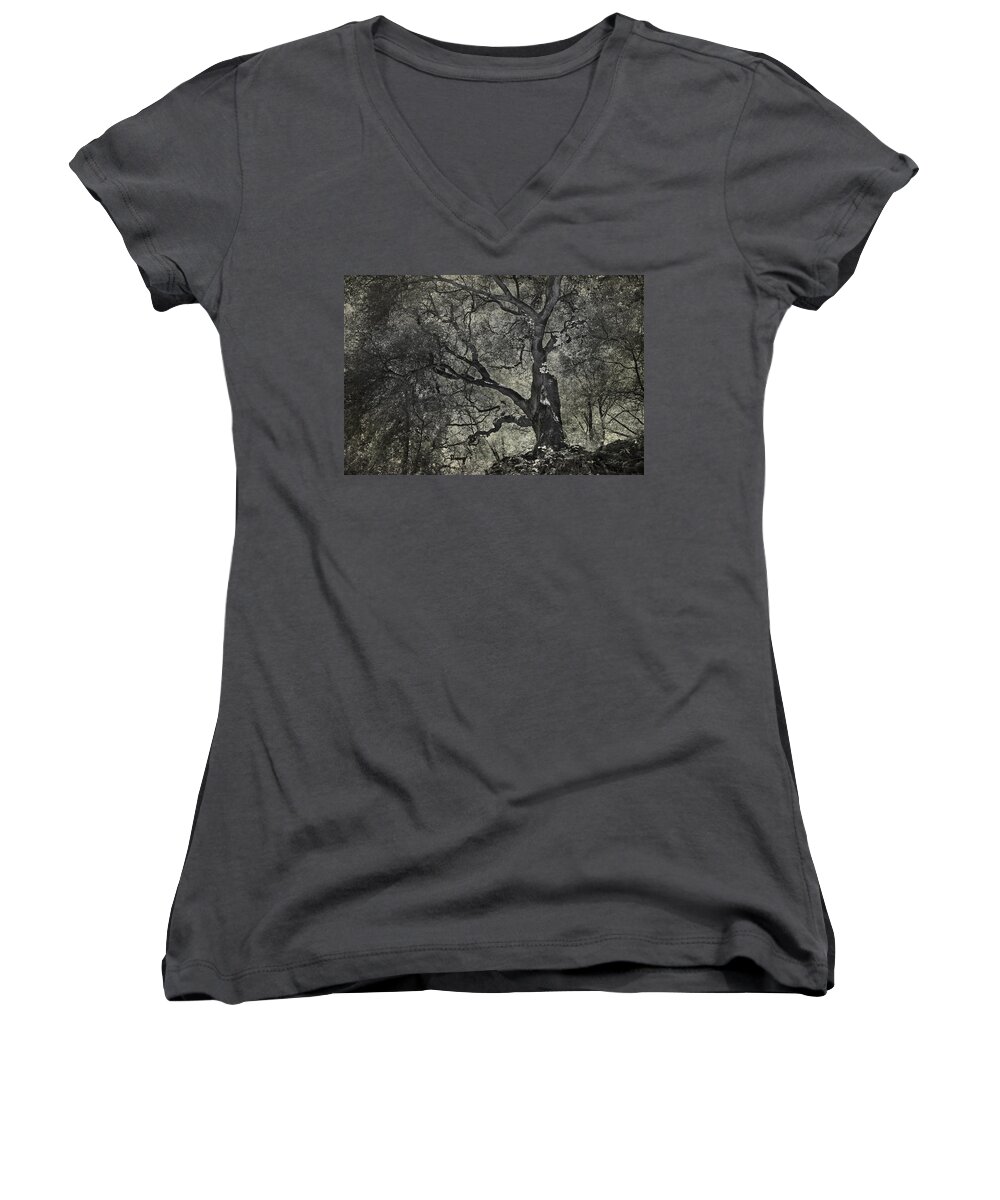 Trees Women's V-Neck featuring the photograph Grabbing by Laurie Search