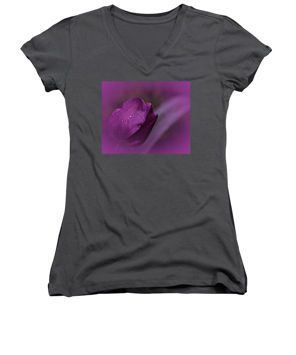 Purple Tulip Women's V-Neck featuring the photograph Grape Tulip by Richard Cummings