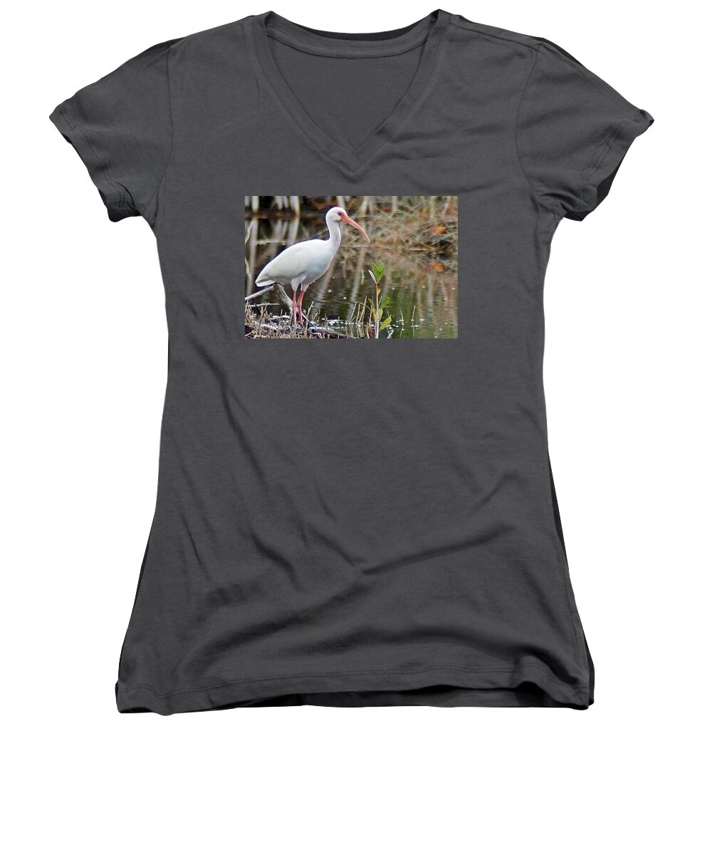 Ibis Women's V-Neck featuring the photograph Ibis 1 by Joe Faherty