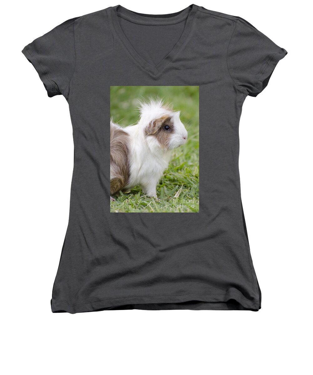 Guinea Pig Women's V-Neck featuring the photograph It was my punk phase by Jim And Emily Bush