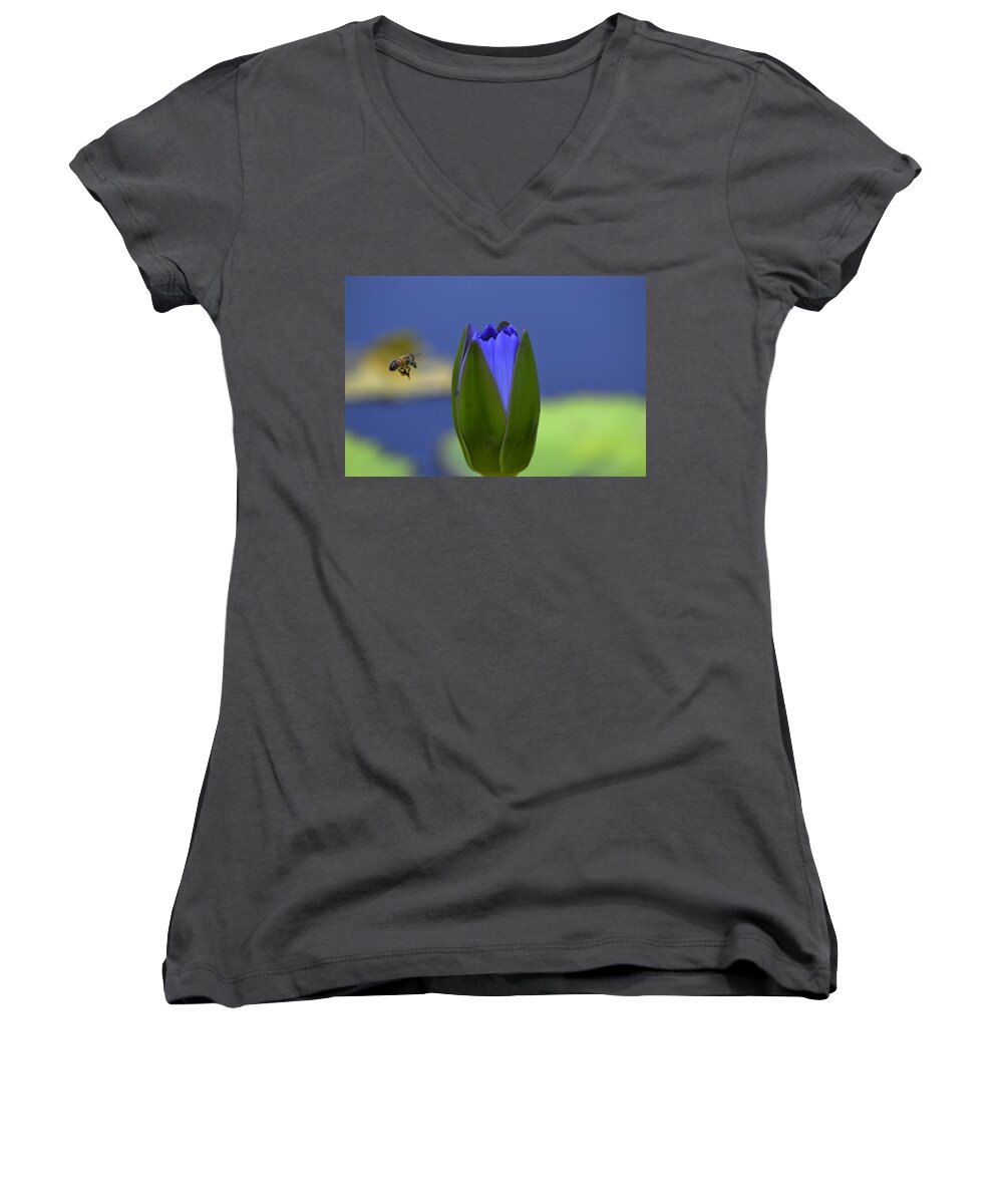 Bee Women's V-Neck featuring the photograph Jackpot by Melanie Moraga