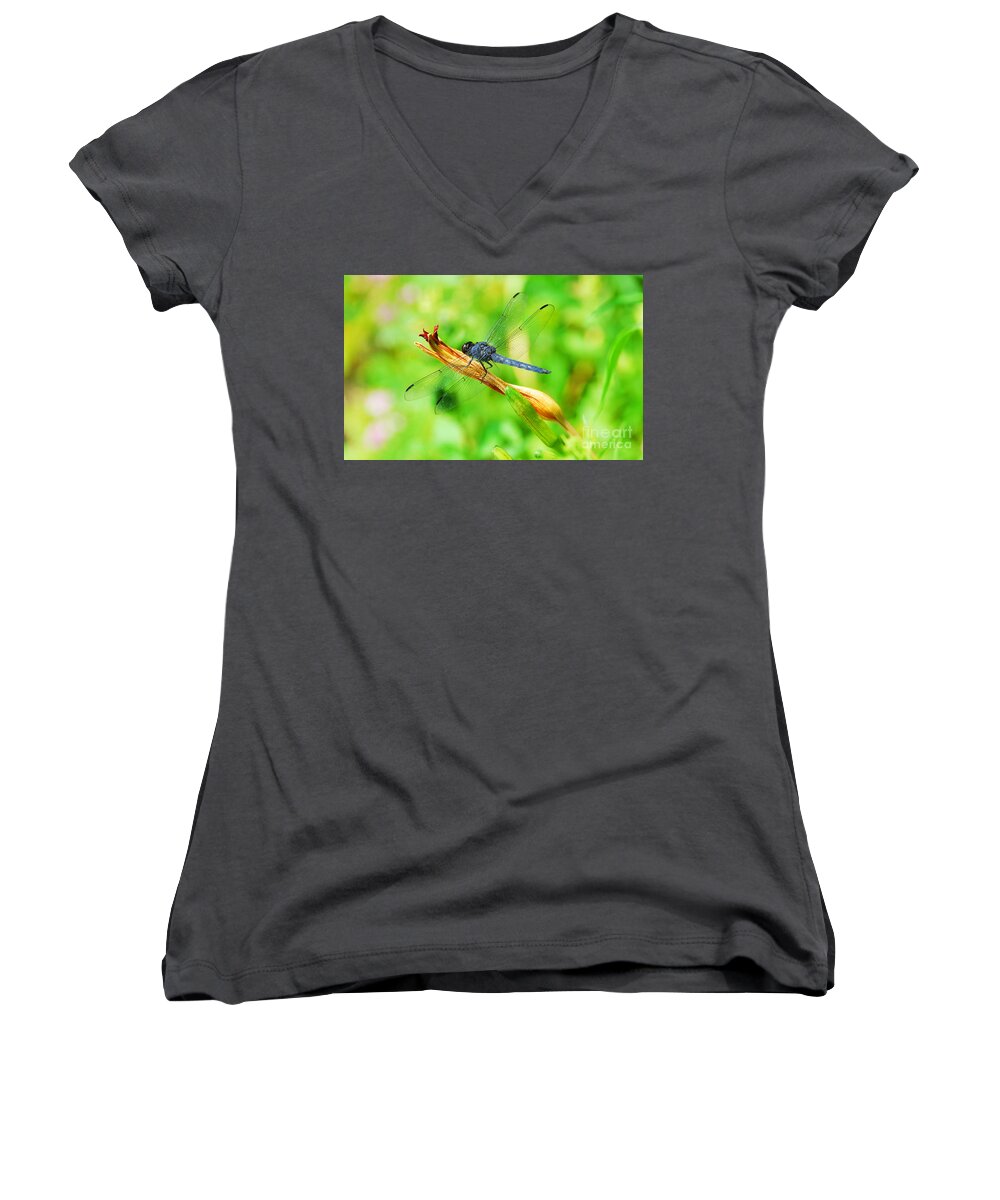 Nature Women's V-Neck featuring the photograph Lace Wings by Cindy Manero