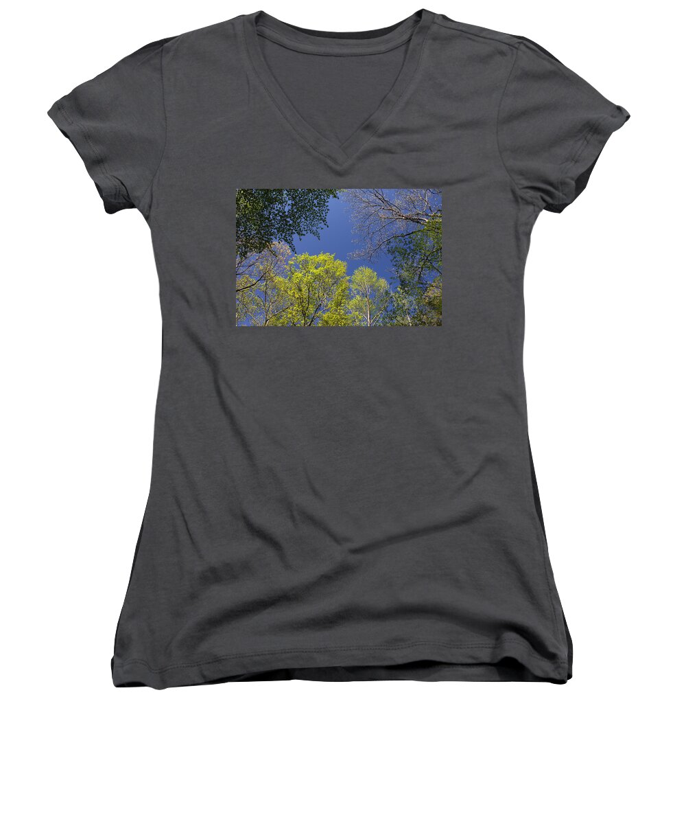 Tree Women's V-Neck featuring the photograph Looking Up In Spring by Daniel Reed