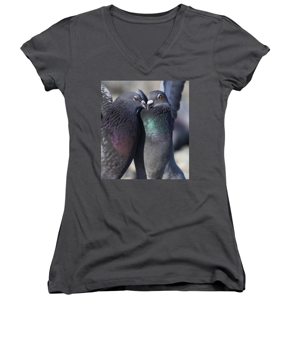 Love Women's V-Neck featuring the photograph Love Birds by Cathie Douglas