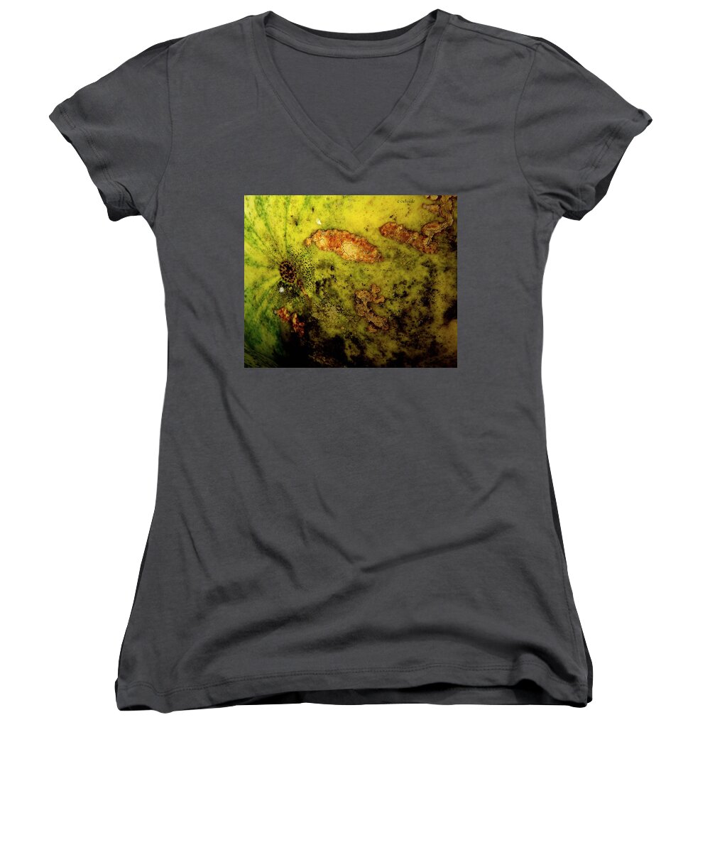 Melon Women's V-Neck featuring the photograph Melon Rind by Chris Berry