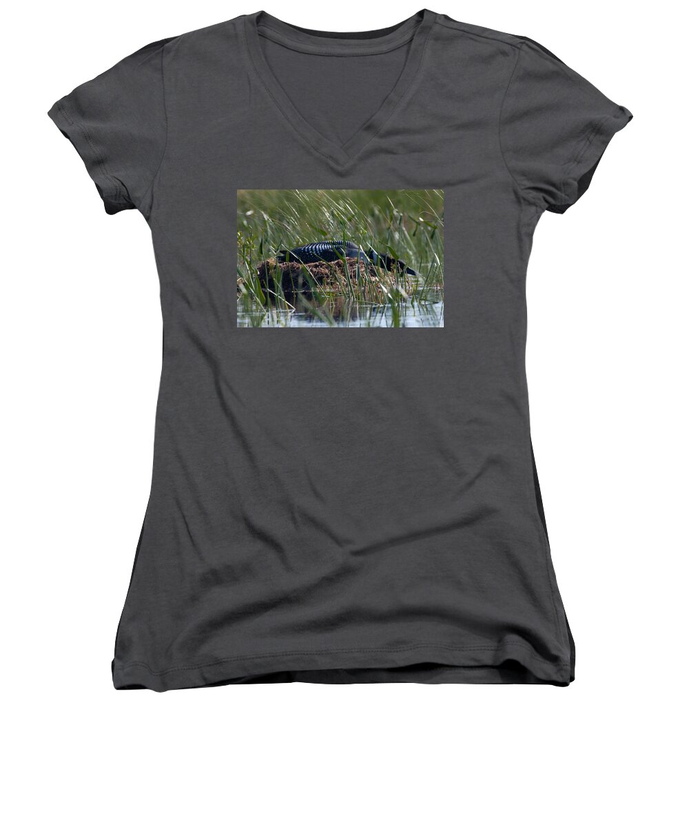 Loon Women's V-Neck featuring the photograph Nesting Loon by Brent L Ander