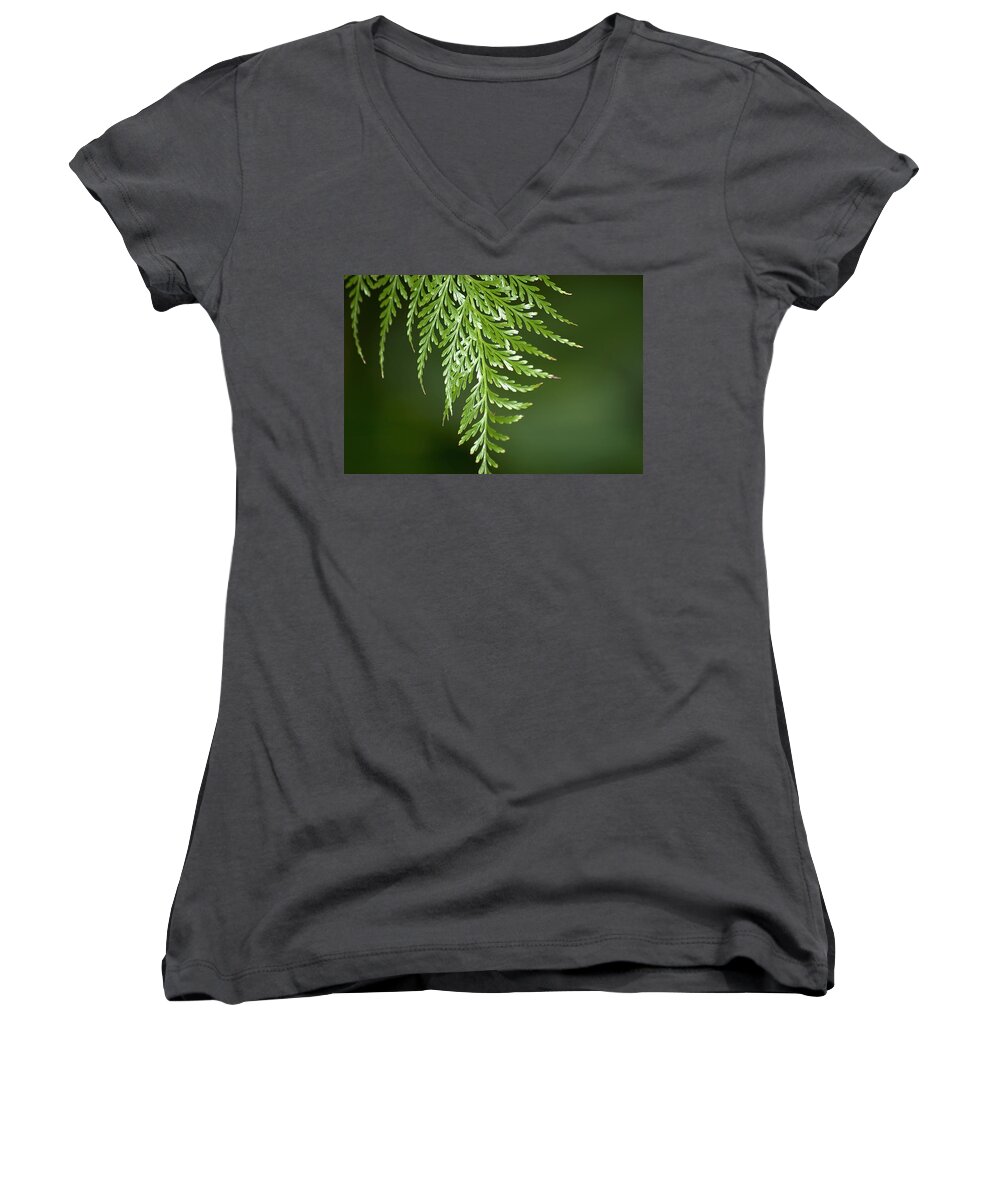 Fern Women's V-Neck featuring the photograph One Hanging Fern by Carolyn Marshall