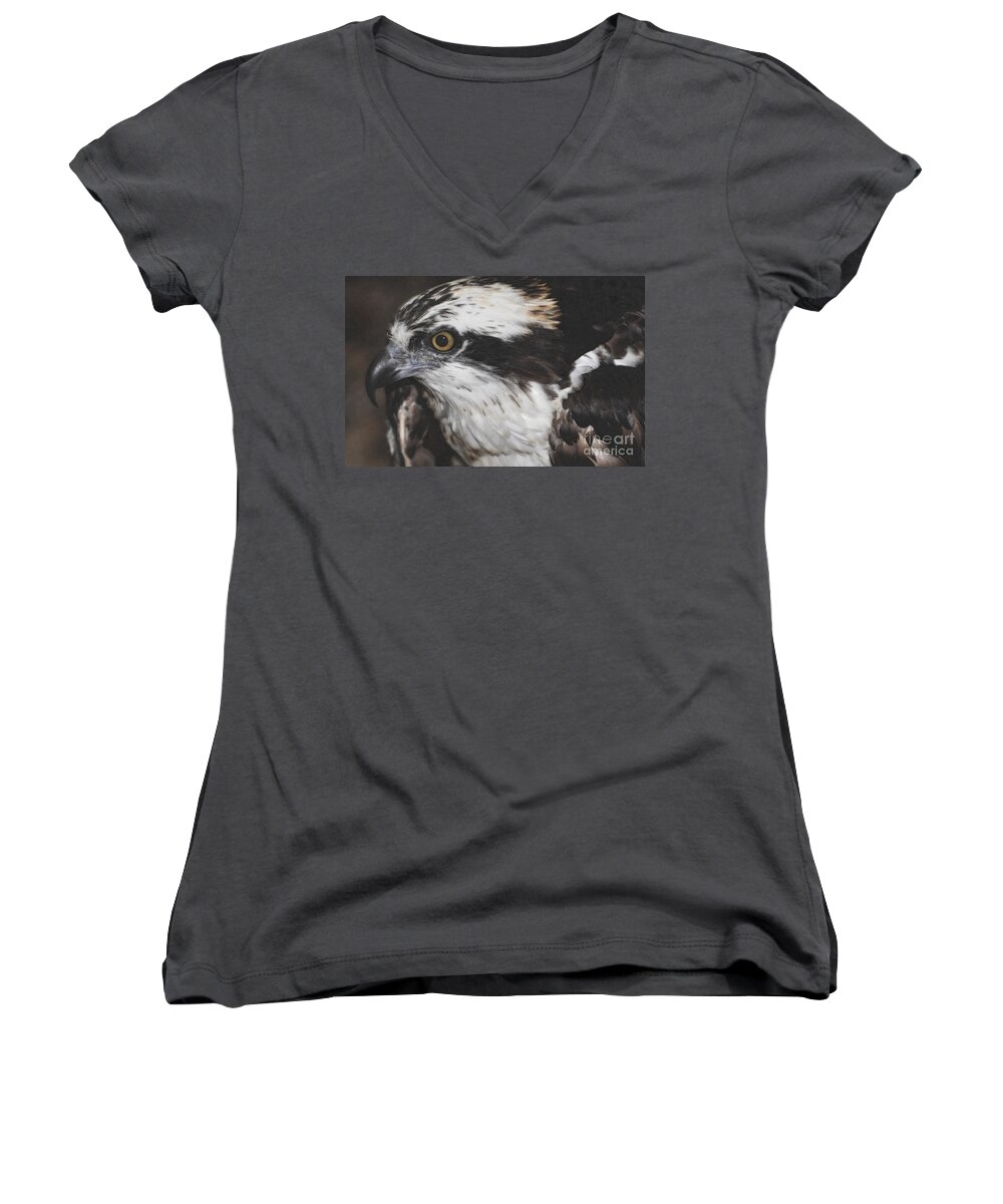 Osprey Women's V-Neck featuring the photograph Osprey by Lydia Holly