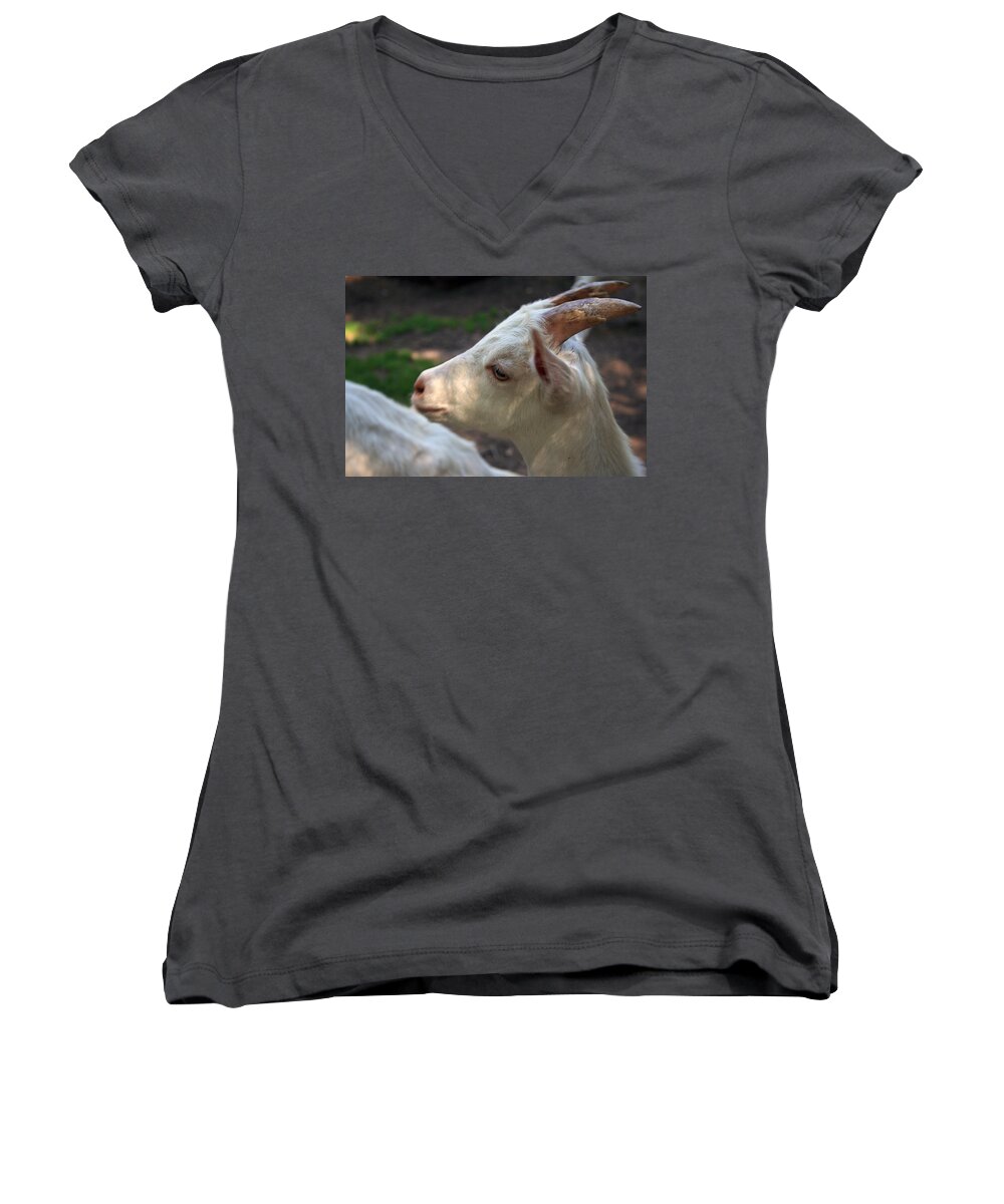 Little Women's V-Neck featuring the photograph Patience Is A Virtue by Kay Novy