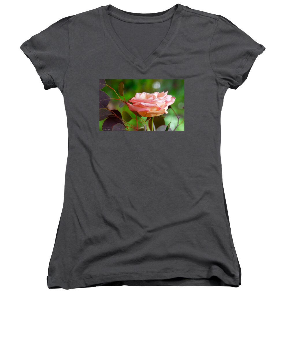 Rose Women's V-Neck featuring the photograph Peace Rose by Marie Hicks