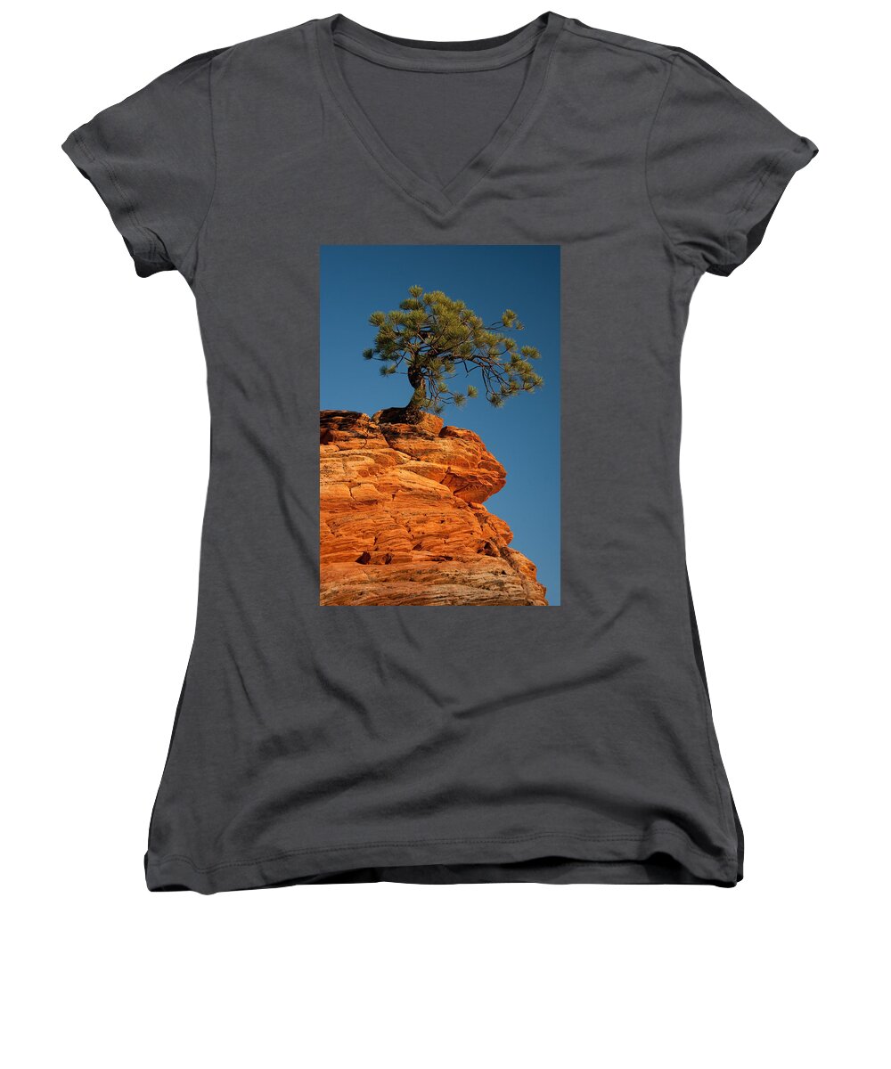 Pine Women's V-Neck featuring the photograph Pine On Rock by Ralf Kaiser