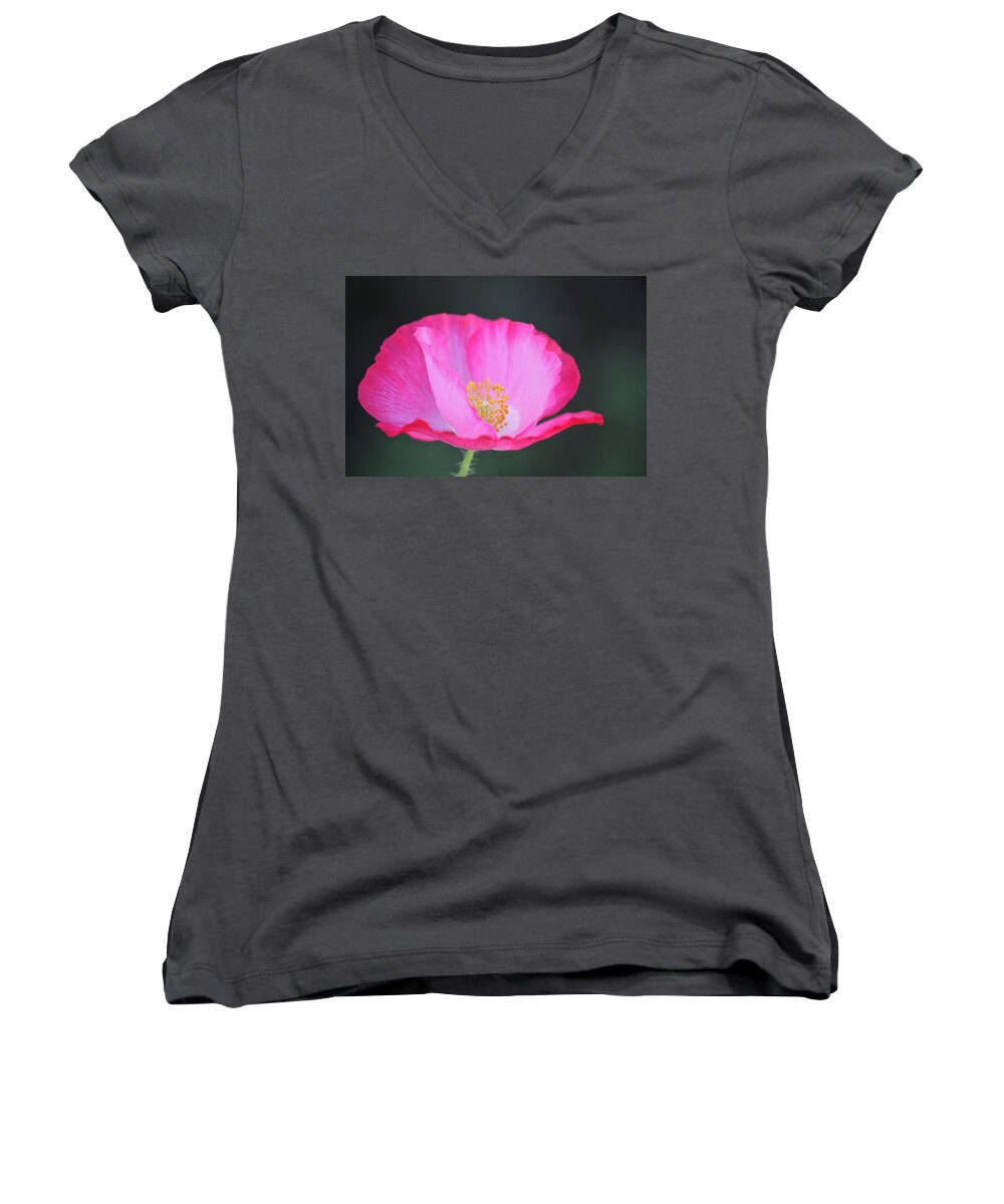 Flowers Women's V-Neck featuring the photograph Pink Poppy 3 by Diana Hatcher