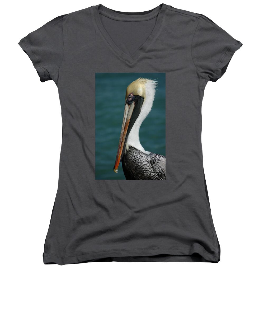 Pelican Women's V-Neck featuring the photograph Posing for the Tourists by Vivian Christopher
