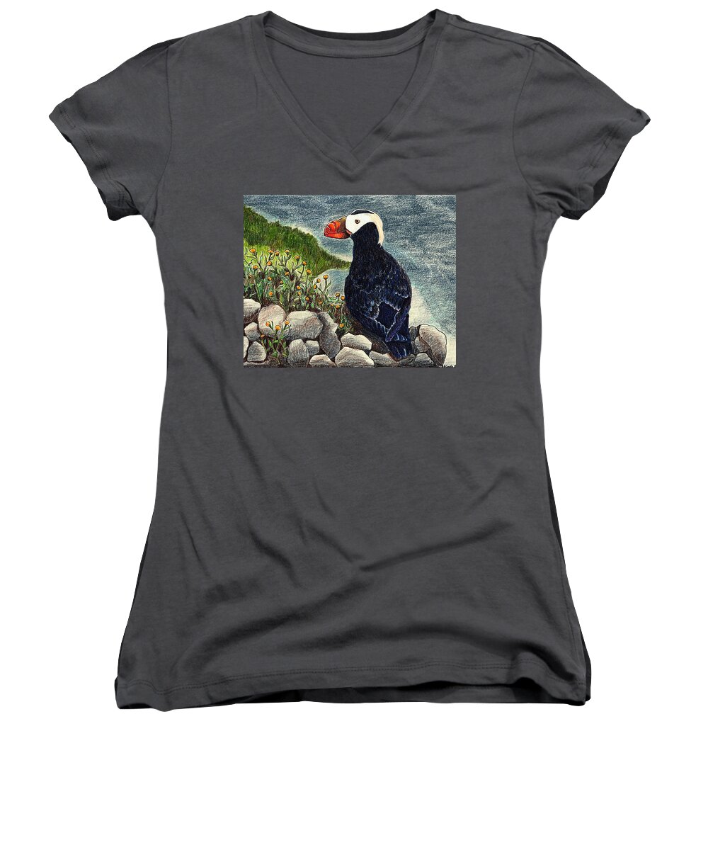 Puffin Women's V-Neck featuring the drawing Puffin by Wendy McKennon