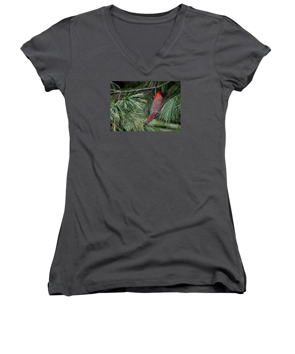 Nature Women's V-Neck featuring the photograph Red Cardinal in Green Pine by Nava Thompson