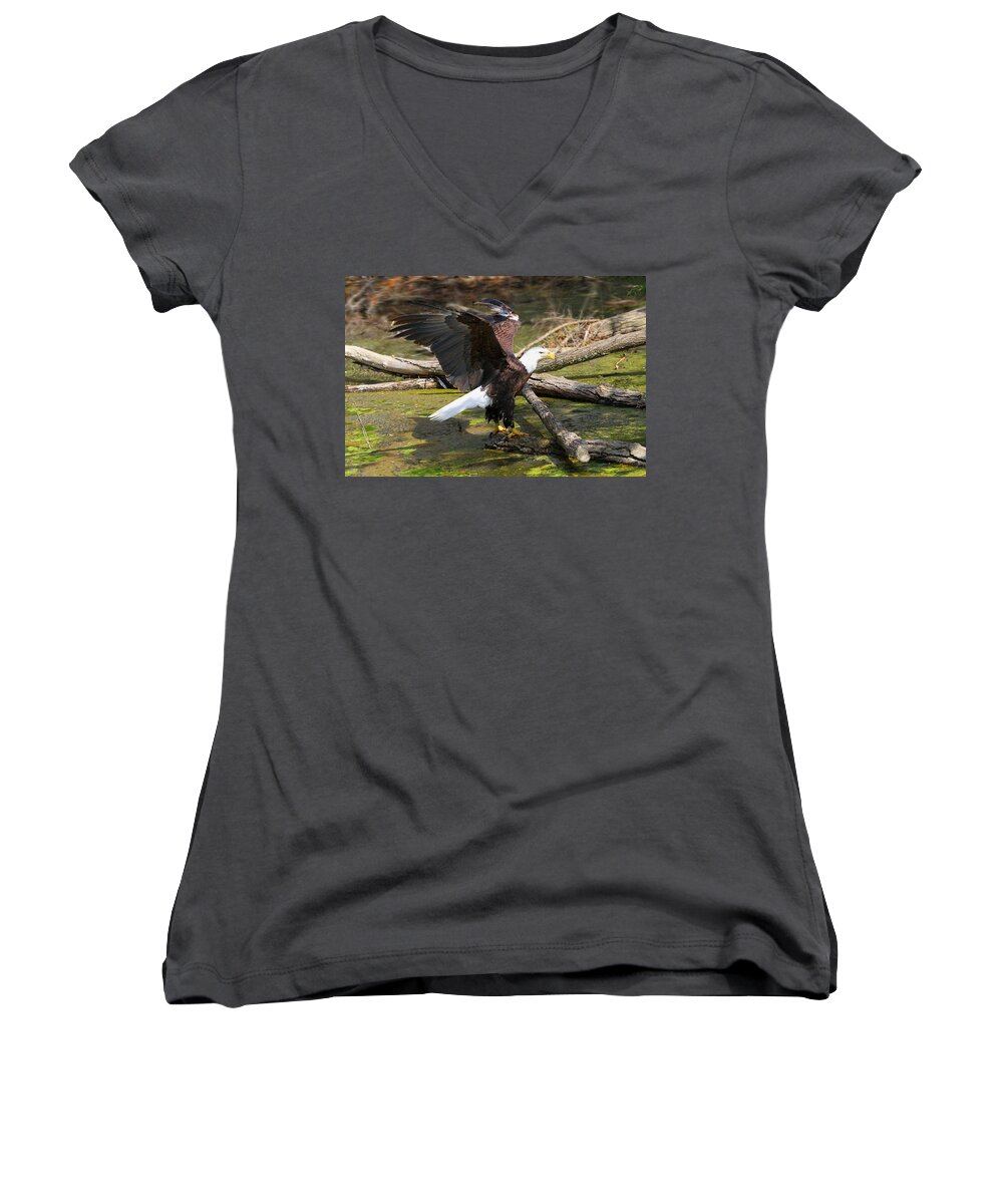 Eagle Women's V-Neck featuring the photograph Soaring Eagle by Elizabeth Winter