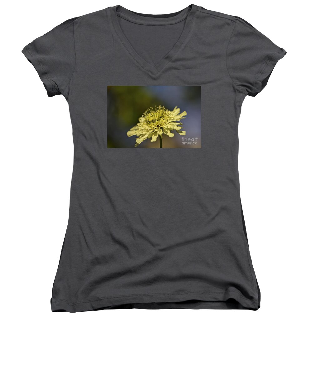 Yellow Women's V-Neck featuring the photograph Soft Yellow. by Clare Bambers